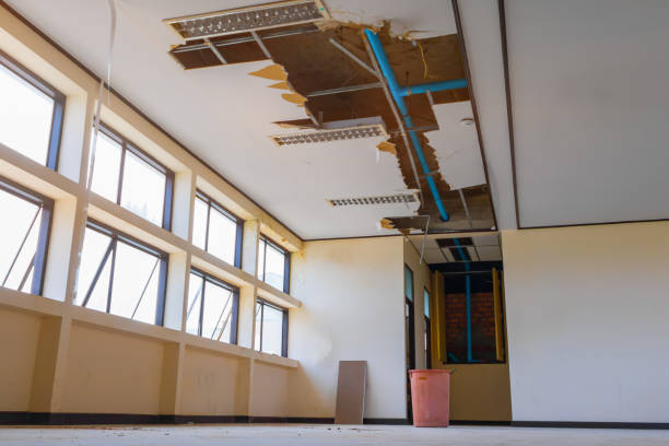 Best Residential water damage restoration  in Sardis City, AL