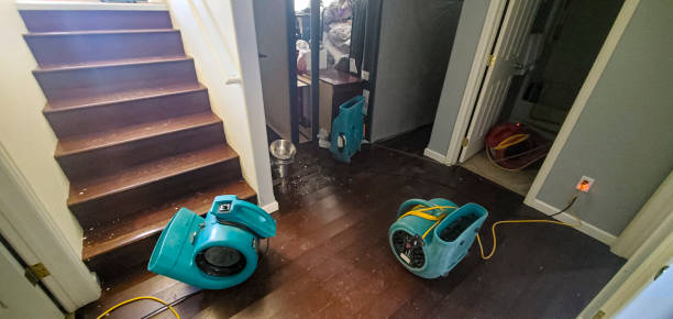 Best Water damage restoration specialists  in Sardis City, AL