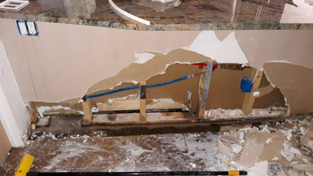 Best Water damage restoration mold remediation  in Sardis City, AL