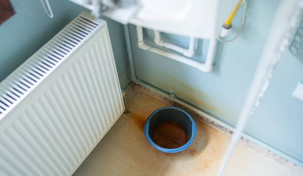 Best Flood restoration services  in Sardis City, AL