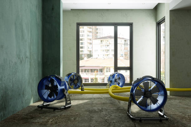 Best Water damage mitigation services  in Sardis City, AL