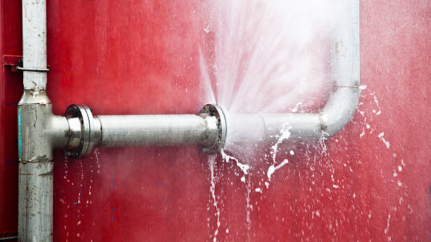 Best Ceiling water damage repair  in Sardis City, AL